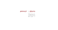ammon + sturm PartG mbB